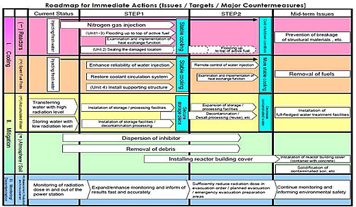 Roadmap for Immediate Actions (Issues / Targets / Major Countermeasures)