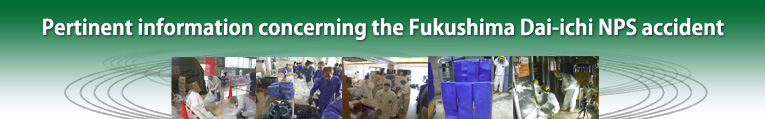 Pertinent information concerning the Fukushima Dai-ichi NPS accident 